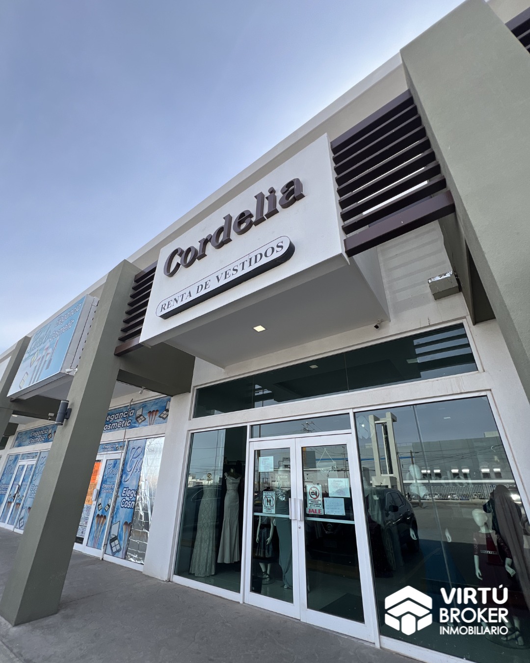 WhatsApp Image 2026-02-11 at 3.06.37 PM